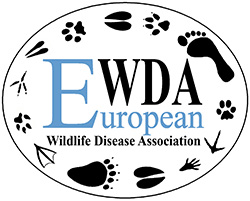 Logo EWDA